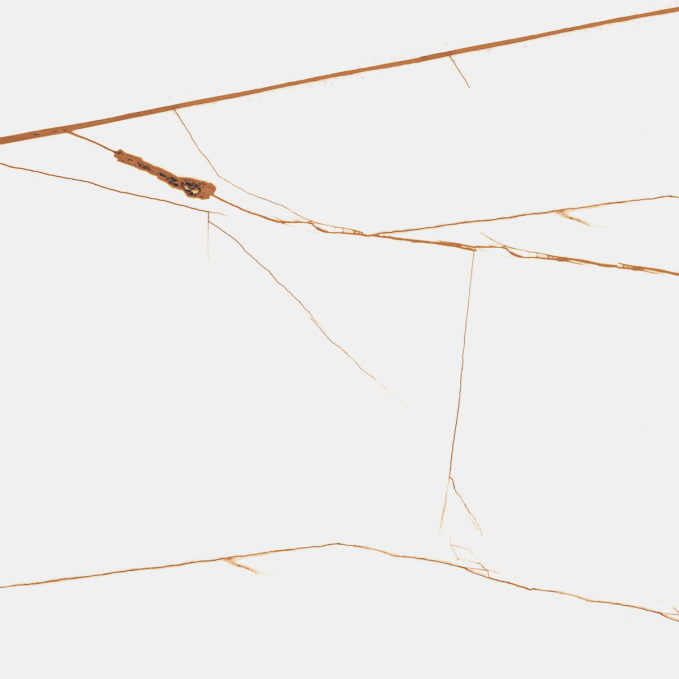 Керамогранит Starotech Polished Spider Brown 80x240 Керамогранит Starotech Polished Spider Brown 80x240