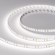 Светодиодная лента RT-A120-10mm 48V White6000 (9.6 W/m, IP20, 2835, 30m), Arlight, 038805, изображение 1 Светодиодная лента RT-A120-10mm 48V White6000 (9.6 W/m, IP20, 2835, 30m), Arlight, 038805, изображение 1