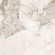 Керамогранит Delacora Seashell 60x60, D60256M