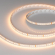 Светодиодная лента RT-A160-8mm 24V Warm2400 (12 W/m, IP20, 2835, 5m), Arlight, 028561(2), изображение 1 Светодиодная лента RT-A160-8mm 24V Warm2400 (12 W/m, IP20, 2835, 5m), Arlight, 028561(2), изображение 1