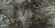 Керамогранит Italon Stellaris Madagascar Dark Lux 80x160, 610015000691 Керамогранит Italon Stellaris Madagascar Dark Lux 80x160, 610015000691