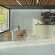 Керамогранит Dako Prime 60x60, E-3040/M Керамогранит Dako Prime 60x60, E-3040/M