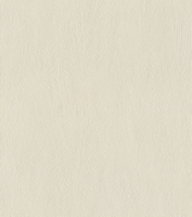 Обои Rasch Allegretto, 540819 Обои Rasch Allegretto, 540819
