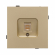 Механизм компьютерной розетки SCT-TENDO-MPC1-SFPL-GD (RJ-45, CAT6), Arlight, 054592, изображение 3 Механизм компьютерной розетки SCT-TENDO-MPC1-SFPL-GD (RJ-45, CAT6), Arlight, 054592, изображение 3