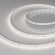 Светодиодная лента RT-A160-8mm 24V Day5000 (12 W/m, IP20, 2835, 5m), Arlight, 024536(2), изображение 1 Светодиодная лента RT-A160-8mm 24V Day5000 (12 W/m, IP20, 2835, 5m), Arlight, 024536(2), изображение 1