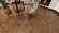 Ламинат Alpine Floor Herringbone 10 Дуб Умбрия, LF107-11 Ламинат Alpine Floor Herringbone 10 Дуб Умбрия, LF107-11