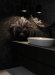 Керамогранит Staro Silk Argos Nero Sugar 60x120 Керамогранит Staro Silk Argos Nero Sugar 60x120