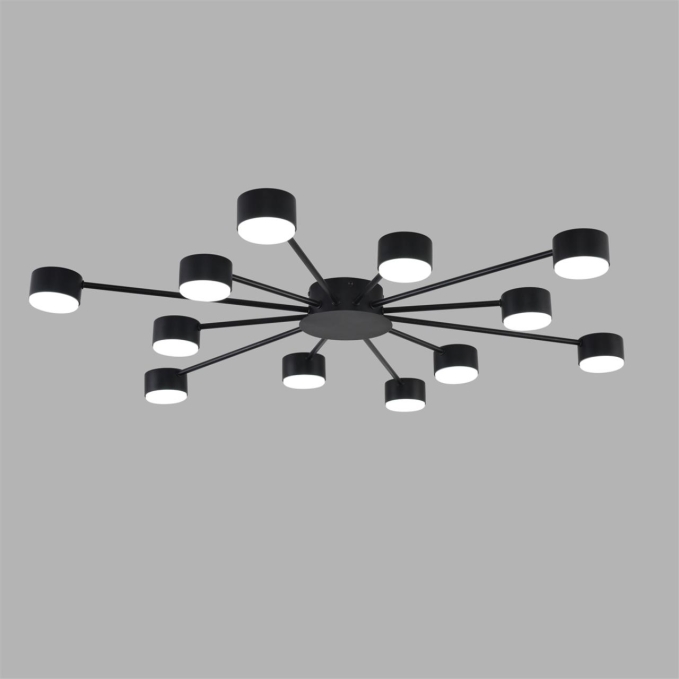 Люстра GX53 LED 12*7W 220V TORINA COMFI LN26 251 LUMION 8344/12C, фото на цветном фоне 2 Люстра GX53 LED 12*7W 220V TORINA COMFI LN26 251 LUMION 8344/12C, фото на цветном фоне 2