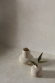 Керамогранит Peronda Ground Bone Sf 60x60, 24936 Керамогранит Peronda Ground Bone Sf 60x60, 24936