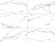 Керамогранит Staro LunaRossa Venus Statuario 60x120 Керамогранит Staro LunaRossa Venus Statuario 60x120