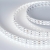 Светодиодная лента RT-B144-19mm 24V White6000 (34.4 W/m, IP20, 5060, 5m), Arlight, 025277(2)