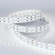Светодиодная лента RT-B144-19mm 24V White6000 (34.4 W/m, IP20, 5060, 5m), Arlight, 025277(2), изображение 3 Светодиодная лента RT-B144-19mm 24V White6000 (34.4 W/m, IP20, 5060, 5m), Arlight, 025277(2), изображение 3