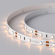 Светодиодная лента RT 2-5000 12V Warm2700 (3528, 300 LED, LUX), Arlight, 010597(B), изображение 4 Светодиодная лента RT 2-5000 12V Warm2700 (3528, 300 LED, LUX), Arlight, 010597(B), изображение 4