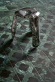 Настенная плитка 41zero42 Dandy Mr Green 5x25, 4101210
