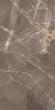 Керамогранит Artcer Marble Dove Brown Poli 60x120 Керамогранит Artcer Marble Dove Brown Poli 60x120