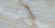 Настенная плитка TC Vector Onix Perla Brillante Atlantico 30x60 Настенная плитка TC Vector Onix Perla Brillante Atlantico 30x60