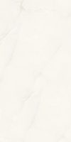 Керамогранит Artcer Marble Elvine Grey Poli 60x120