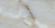 Настенная плитка TC Vector Onix Perla Brillante 30x60 Настенная плитка TC Vector Onix Perla Brillante 30x60