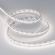 Светодиодная лента RT-A252-10mm 24V Day4000 (11 W/m, IP20, 2835, 5m), Arlight, 022651(2), изображение 2 Светодиодная лента RT-A252-10mm 24V Day4000 (11 W/m, IP20, 2835, 5m), Arlight, 022651(2), изображение 2