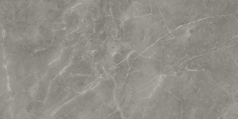 Керамогранит Atlas Concorde Italy Marvel Pro Grey Fleury 60x120, A21F Керамогранит Atlas Concorde Italy Marvel Pro Grey Fleury 60x120, A21F