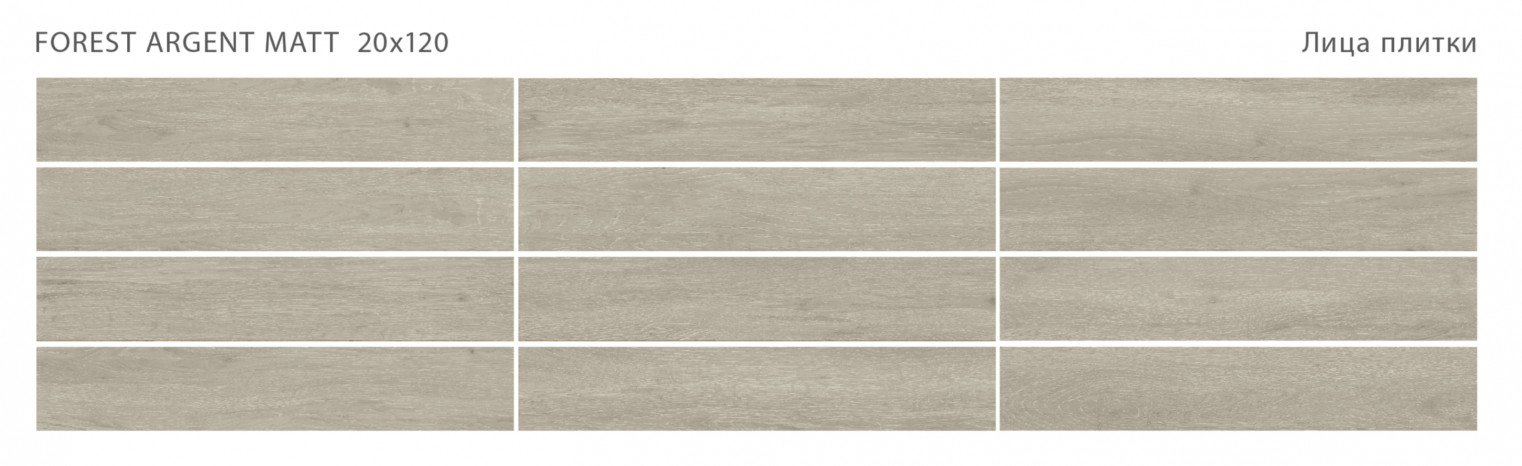 Керамогранит Starowood Forest Argent Matt 20x120