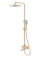 Душевая стойка Wonzon & Woghand Tetra WW-841214-BRG розовое золото брашированный