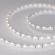 Светодиодная лента RS 2-5000 12V Day4000 (3014, 60 LED/m, LUX), Arlight, 024446, изображение 2 Светодиодная лента RS 2-5000 12V Day4000 (3014, 60 LED/m, LUX), Arlight, 024446, изображение 2