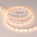 Светодиодная лента RT-A60-5mm 12V Warm2400 (4.8 W/m, IP20, 2835, 5m), Arlight, 028616(2), изображение 2 Светодиодная лента RT-A60-5mm 12V Warm2400 (4.8 W/m, IP20, 2835, 5m), Arlight, 028616(2), изображение 2