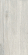 Керамогранит Estima City Dream Wood DW01 30.6x60.9x8 непол. Керамогранит Estima City Dream Wood DW01 30.6x60.9x8 непол.