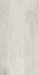 Керамогранит Estima City Dream Wood DW01 30.6x60.9x8 непол. Керамогранит Estima City Dream Wood DW01 30.6x60.9x8 непол.