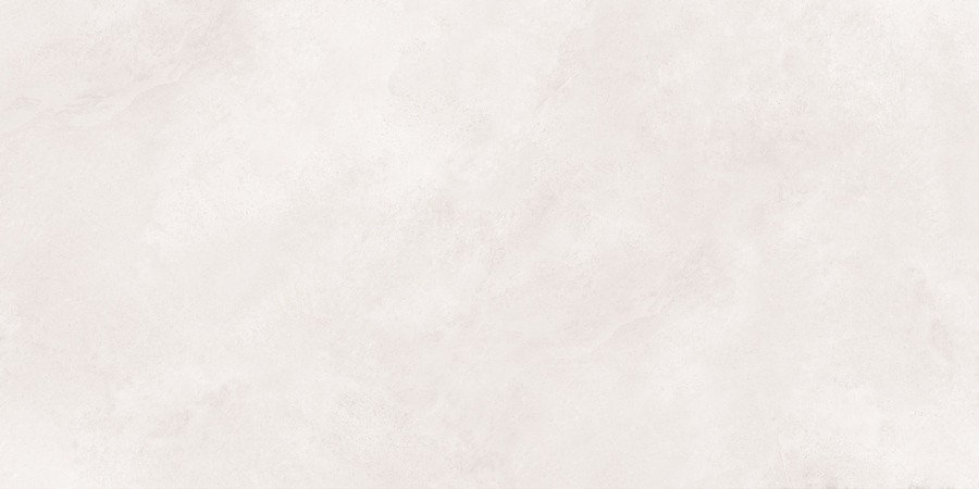 Керамогранит Neodom Loft Newport White Matt 60x120, N20479 Керамогранит Neodom Loft Newport White Matt 60x120, N20479