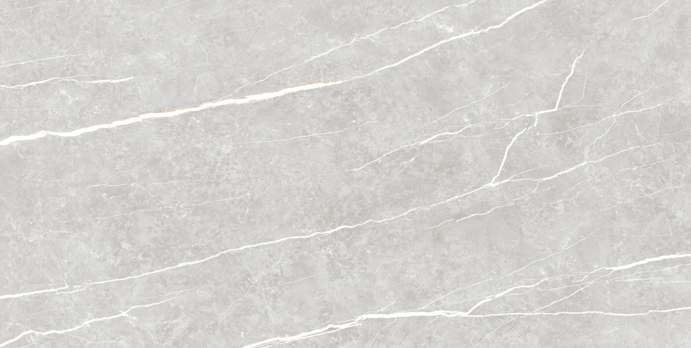 Керамогранит Tau Elite Silver Matt 60x120 Керамогранит Tau Elite Silver Matt 60x120