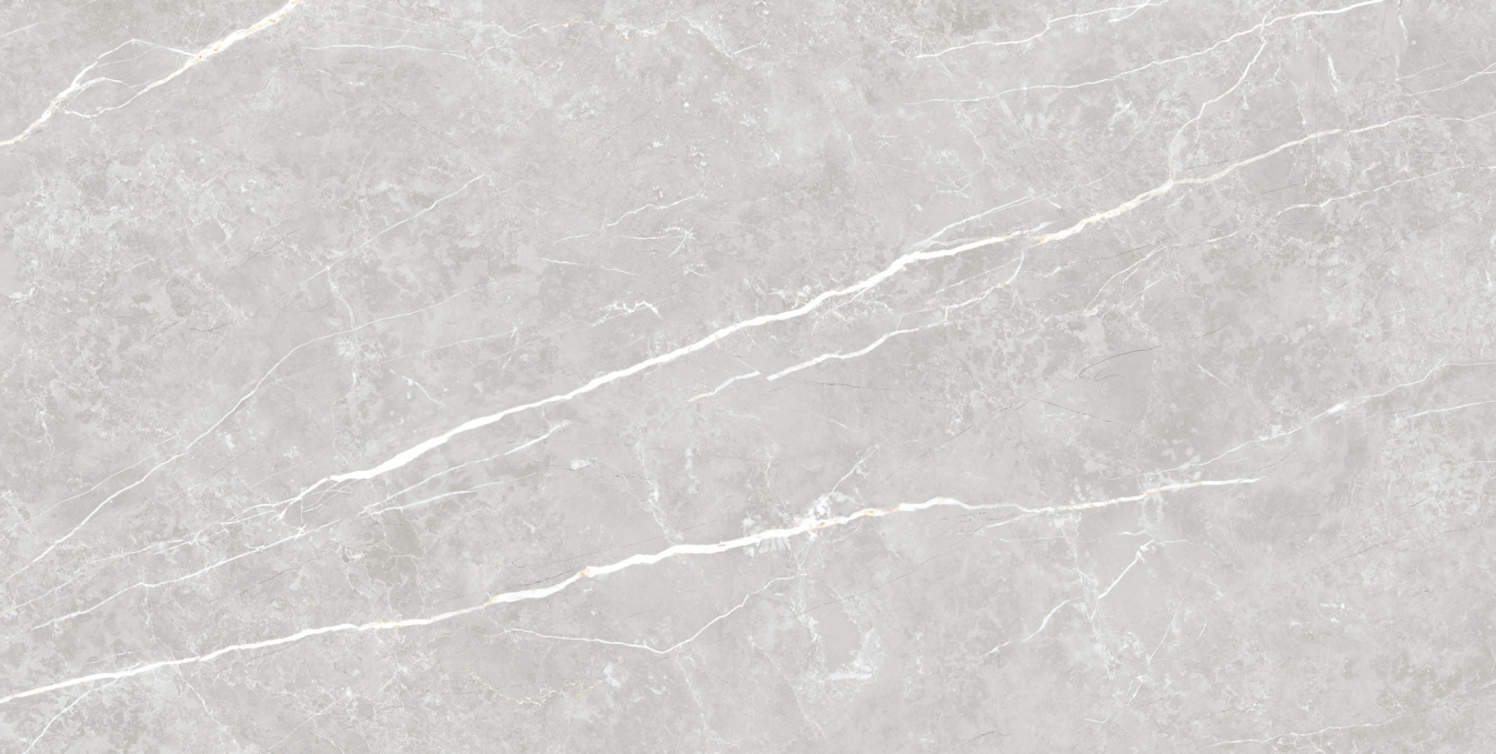 Керамогранит Tau Elite Silver Matt 60x120 Керамогранит Tau Elite Silver Matt 60x120