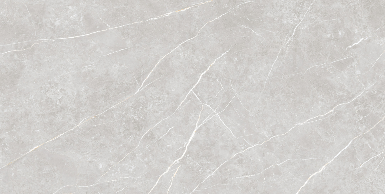 Керамогранит Tau Elite Silver Matt 60x120 Керамогранит Tau Elite Silver Matt 60x120