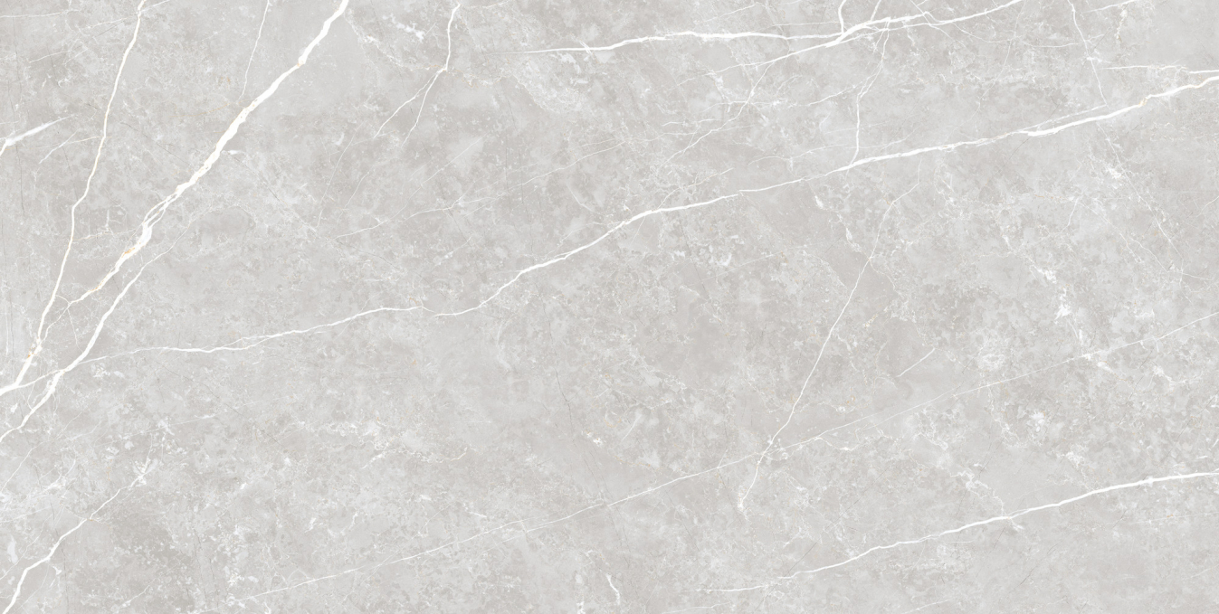 Керамогранит Tau Elite Silver Matt 60x120 Керамогранит Tau Elite Silver Matt 60x120