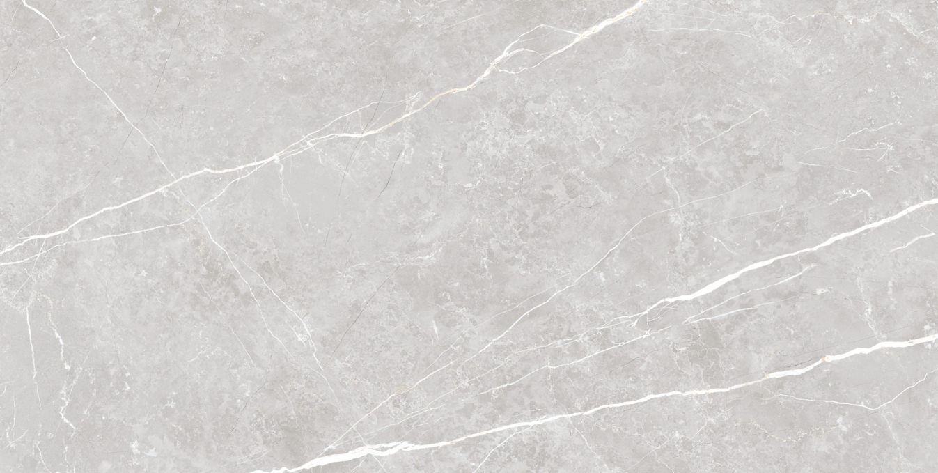 Керамогранит Tau Elite Silver Matt 60x120 Керамогранит Tau Elite Silver Matt 60x120
