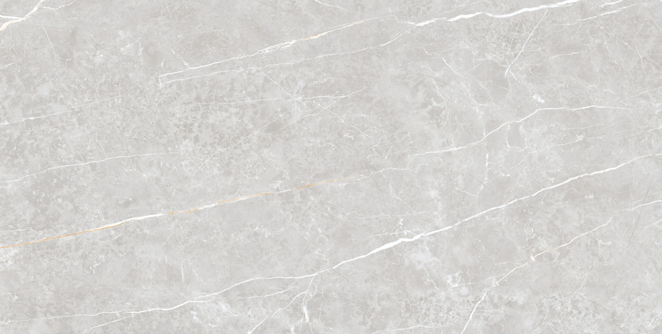 Керамогранит Tau Elite Silver Matt 60x120 Керамогранит Tau Elite Silver Matt 60x120