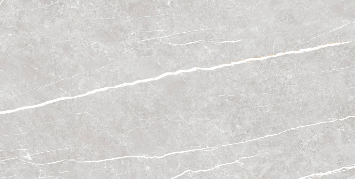 Керамогранит Tau Elite Silver Matt 60x120 Керамогранит Tau Elite Silver Matt 60x120