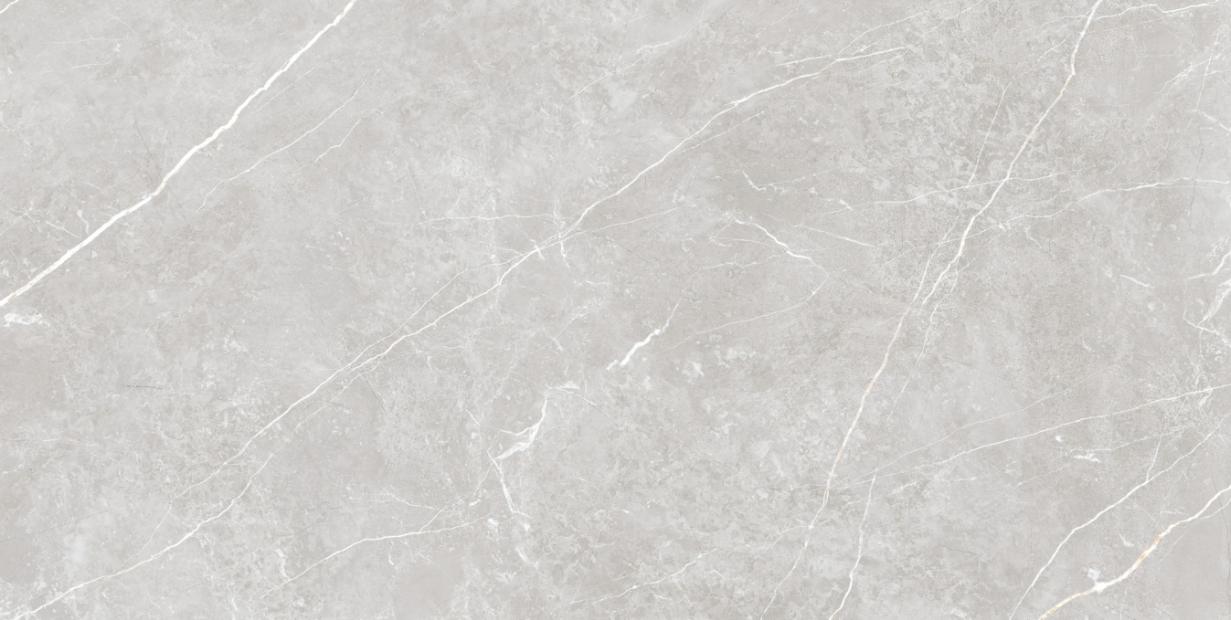 Керамогранит Tau Elite Silver Matt 60x120 Керамогранит Tau Elite Silver Matt 60x120