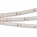 Светодиодная лента RTW 2-5000PS-50m 24V White6000 2x (3528, 120 LED/m, LUX), Arlight, 024574, изображение 1 Светодиодная лента RTW 2-5000PS-50m 24V White6000 2x (3528, 120 LED/m, LUX), Arlight, 024574, изображение 1