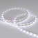 Светодиодная лента MICROLED-M140-4mm 24V White-CDW (4.8 W/m, IP20, 2216, 5m), Arlight, 024505(2), изображение 2 Светодиодная лента MICROLED-M140-4mm 24V White-CDW (4.8 W/m, IP20, 2216, 5m), Arlight, 024505(2), изображение 2
