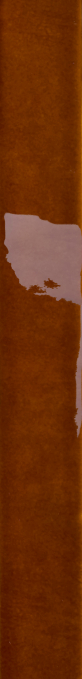 Керамогранит 41zero42 Milano70 Cognac 4x31 (кабанчик), 4101251 Керамогранит 41zero42 Milano70 Cognac 4x31 (кабанчик), 4101251