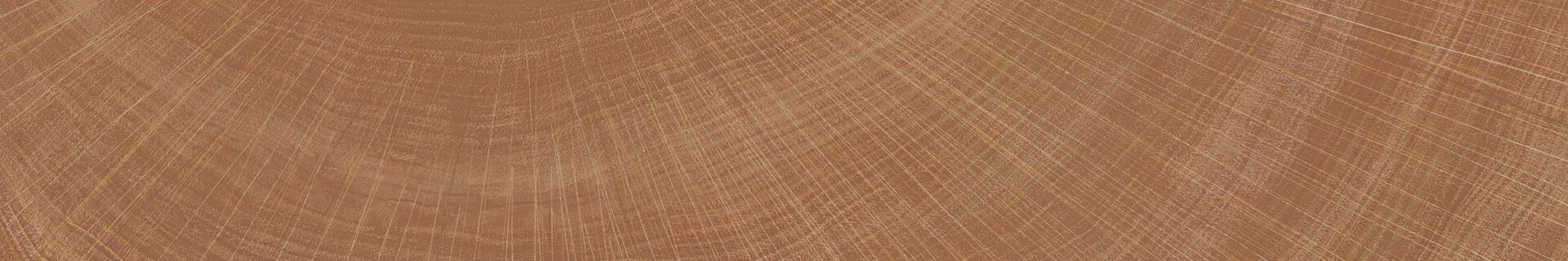 Керамогранит Ibero Artwood Nut Matt 20x120 Керамогранит Ibero Artwood Nut Matt 20x120