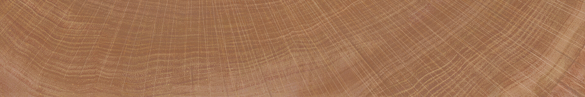 Керамогранит Ibero Artwood Nut Matt 20x120 Керамогранит Ibero Artwood Nut Matt 20x120