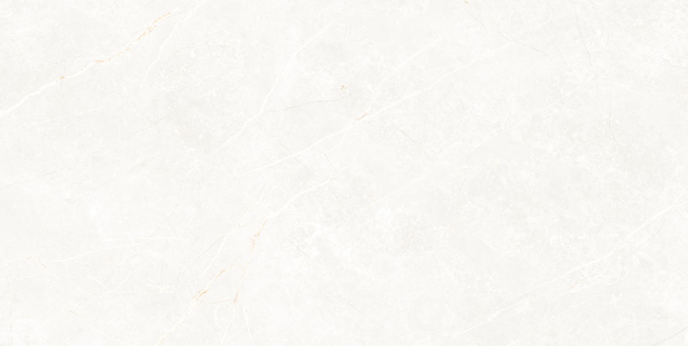 Керамогранит Tau Elite White Matt 60x120 Керамогранит Tau Elite White Matt 60x120
