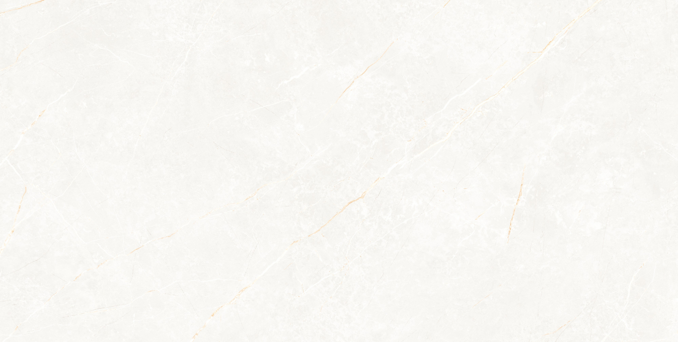Керамогранит Tau Elite White Matt 60x120 Керамогранит Tau Elite White Matt 60x120