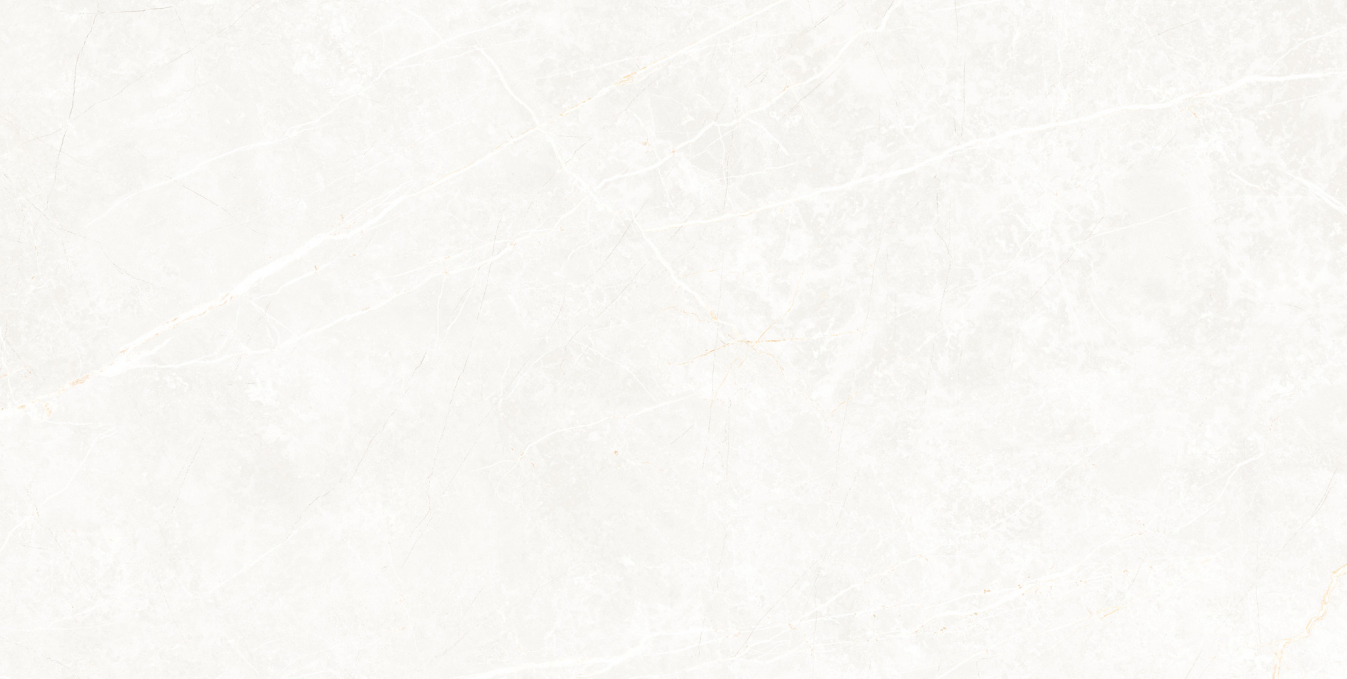 Керамогранит Tau Elite White Matt 60x120 Керамогранит Tau Elite White Matt 60x120