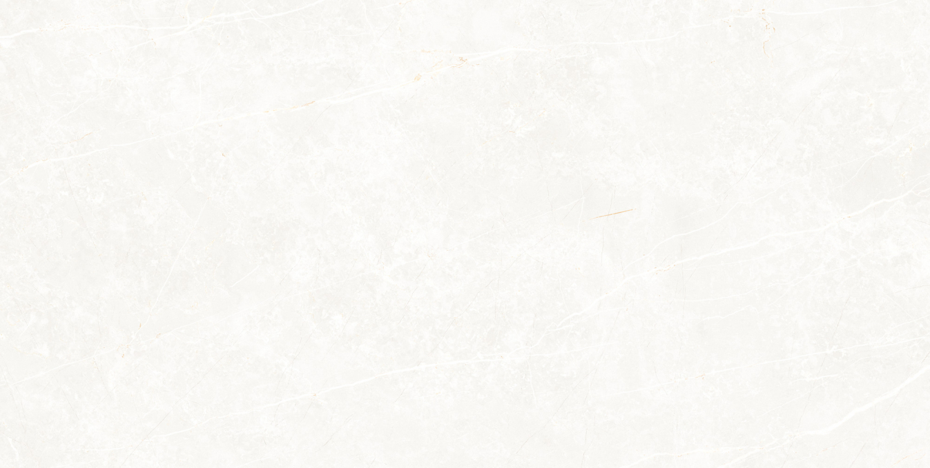 Керамогранит Tau Elite White Matt 60x120 Керамогранит Tau Elite White Matt 60x120