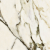 Керамогранит Neodom Sixty Calacatta Venato Satin 60x60, N20362
