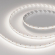 Светодиодная лента RT-A252-10mm 24V Day5000 (11 W/m, IP20, 2835, 5m), Arlight, 028618(2), изображение 2 Светодиодная лента RT-A252-10mm 24V Day5000 (11 W/m, IP20, 2835, 5m), Arlight, 028618(2), изображение 2